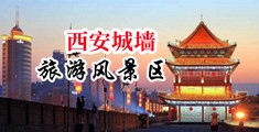 大黑吊乱草逼视频中国陕西-西安城墙旅游风景区